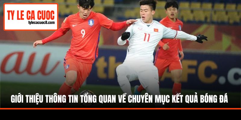 Giới thiệu thông tin tổng quan về chuyên mục kết quả bóng đá