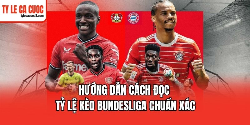Tìm hiểu cách đọc tỷ lệ kèo Bundesliga cho người mới