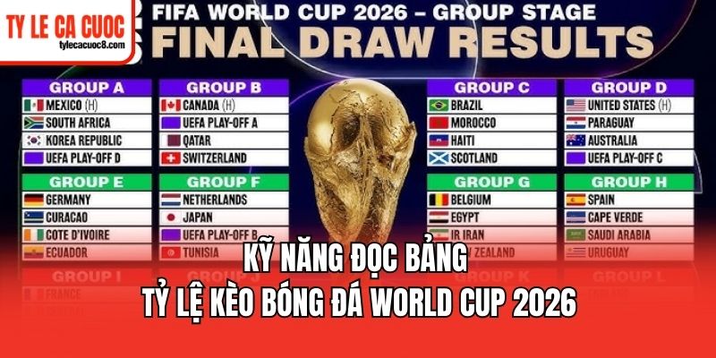Tổng quan về tỷ lệ kèo bóng đá World Cup 2026