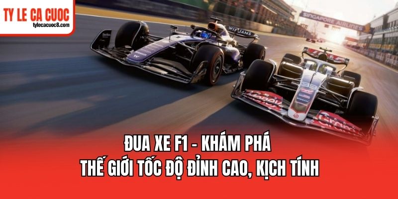 Khái quát một số thông tin về giải đấu Đua Xe F1