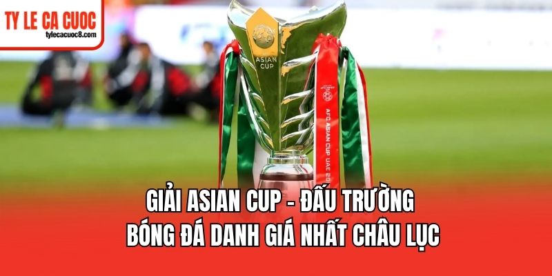 Giải Asian Cup - Sân chơi quy mô nhất Châu Á
