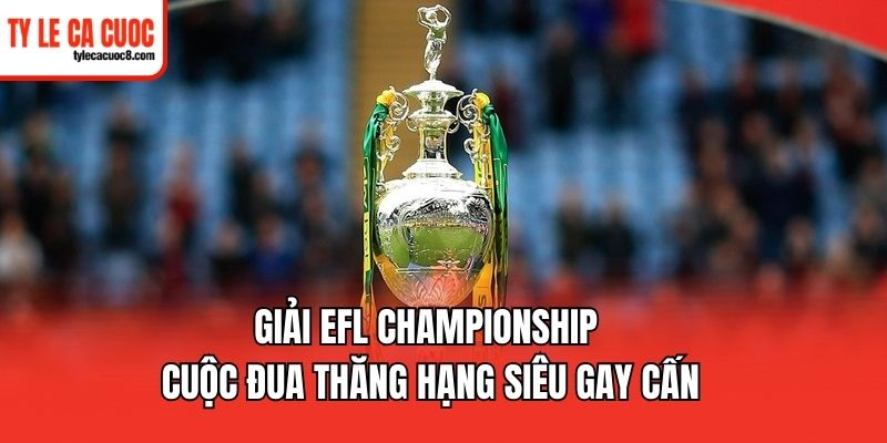 Tìm hiểu tổng quan về sức hút của giải EFL Championship