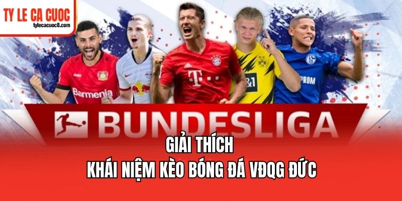 Khám phá các kèo bóng đá VĐQG Đức thịnh hành nhất