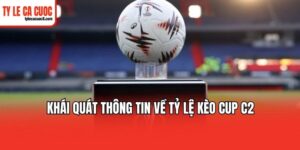 Tổng hợp các tỷ lệ kèo cup C2 thường xuất hiện nhất