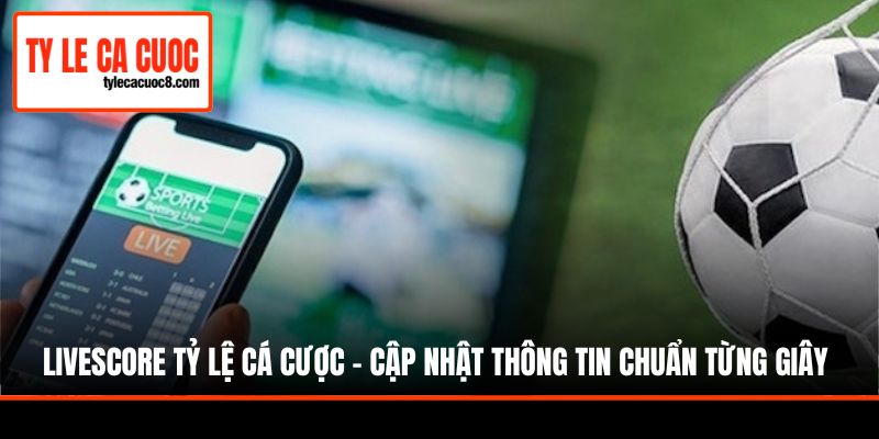 Vài điểm quan trọng cần chú ý khi truy cập vào chuyên mục
