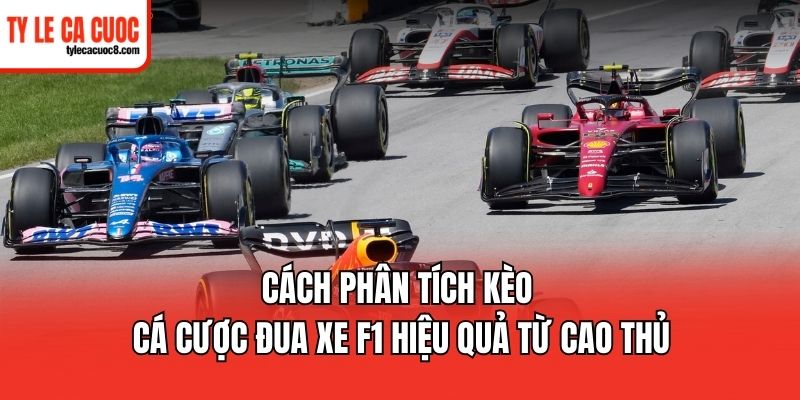Cách phân tích kèo cá cược Đua Xe F1 hiệu quả từ cao thủ