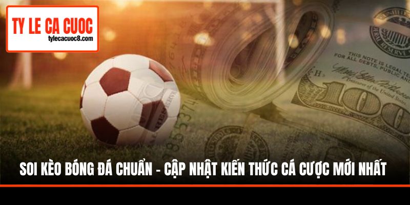 Muốn soi kèo phải biết cách đọc tỷ lệ
