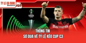 Tổng hợp 4 bí quyết dự đoán tỷ lệ kèo Cup C3 chuẩn