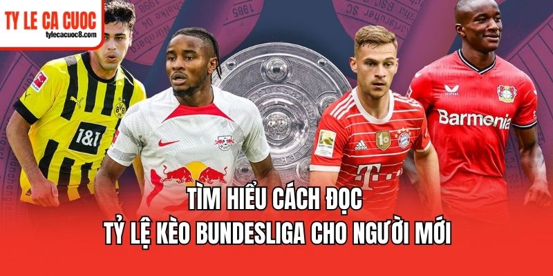 Hướng dẫn cách đọc tỷ lệ kèo Bundesliga chuẩn xác