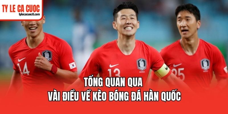 Những loại kèo bóng đá Hàn Quốc nên tham gia